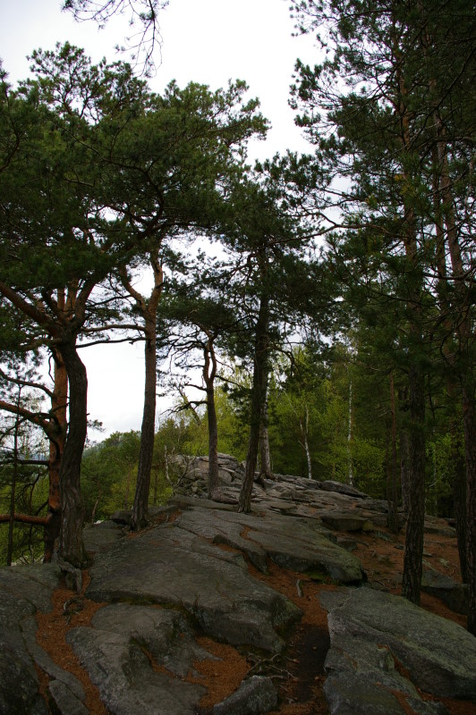 04certovastena